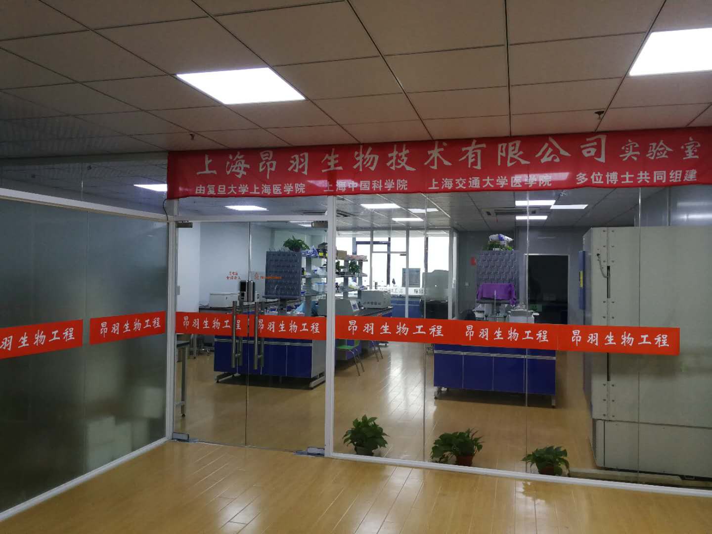 11Ҵ[-1